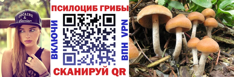 Галлюциногенные грибы MAGIC MUSHROOMS Всеволожск